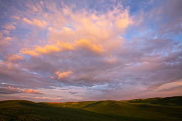 USA, Washington State, Palouse Country, Rolling Hills of Green Spring Wheat and Evening Clouds