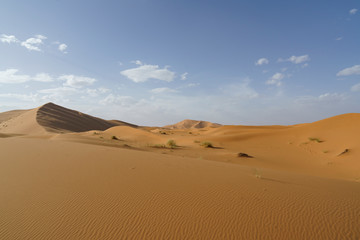 Sahara desert in marocco