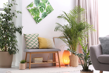 Stylish modern room interior with exotic houseplants