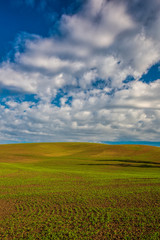 Fototapeta na wymiar USA, Washington State, Palouse, Spring Rolling Hills of Wheat and Fallow fields