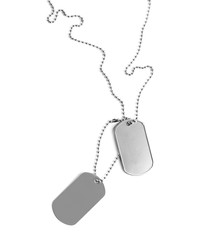Blank military ID tags isolated on white