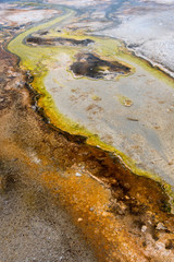 USA, Wyoming. Geothermal run-off filled with colorful thermophile growths, Black Sand Basin, Yellowstone National Park.