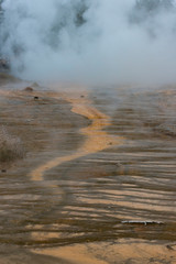 USA, Wyoming. Steamy run-off and bacteria matt from Silex Springs, Lower Geyser Basin, Yellowstone National Park.