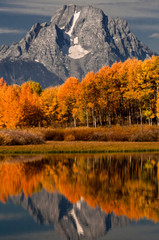 USA, Wyoming, Grand Teton National Park. Mount Moran, autumn foliage and reflections at the Oxbow...