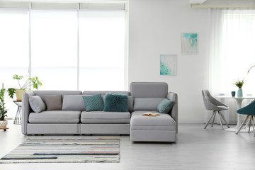 Modern living room interior with comfortable sofa