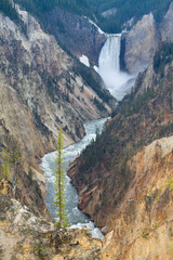 WY, Yellowstone National Park, Lower Yellowstone Falls, Grand Canyon of the Yellowstone, from Artists Point