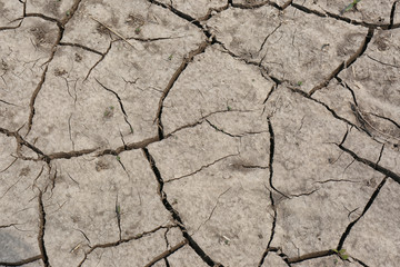 Cracked ground surface as background, top view