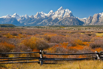 Autumn color, Grand Tetons, buck and rail fence, from Cunningham Cabin, Grand Teton National Park, Wyoming, USA