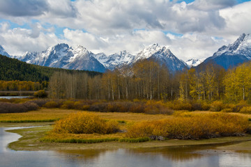 Fototapeta na wymiar Autumn, Oxbow, Grand Teton National Park, Wyoming, USA
