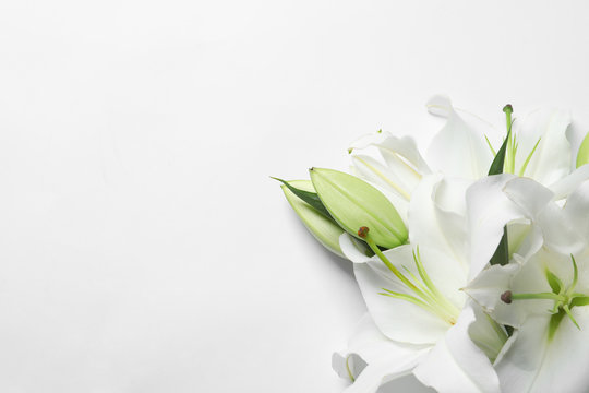 Funeral Flowers White Background Images – Browse 10,473 Stock Photos,  Vectors, and Video | Adobe Stock