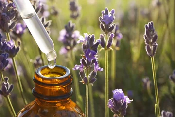Deurstickers Dropper with lavender essential oil over bottle in blooming field, closeup. Space for text © New Africa