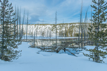 USA, Wyoming, Yellowstone National Park, Obsidian Creek