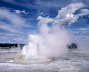 USA, Wyoming, Yellowstone NP. Steam churns from the Norris Geysers, Yellowstone NP, a World Heritage Site, in Wyoming.