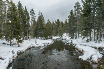 USA, Wyoming, Yellowstone National Park, Firehole River