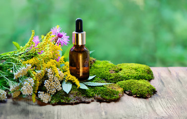 Bottle of herbal essential oil, care product. Essential oil in glass bottle with fresh wild flowers on nature background. beauty treatment, Spa concept. extract Fragrant oil. close up. shallow depth