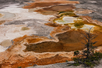 Colorful sediments. Yellowstone National Park. Wyoming.