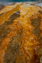 USA, Wyoming. Colorful thermophile design run-off from Black Pool, West Thumb Geyser Area, Yellowstone National Park.