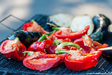 Fresh street food closeup .