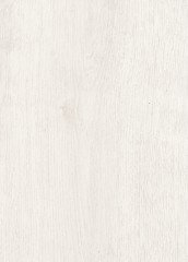 A fragment of a wooden panel hardwood. Oak. Design for floors, houses and cottages