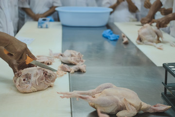 cutting chicken carcass in factory. poultry production in food industry