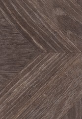 A fragment of a wooden panel hardwood. Oak. Design for floors, houses and cottages