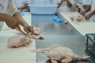 cutting chicken carcass in factory. poultry production in food industry