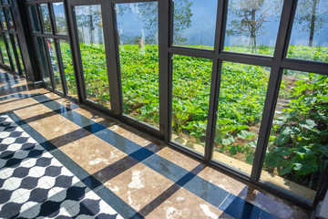 Green trees outside of glass wall view with vintage floor walk way