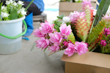 siam tulip flower for arrangement in shop. florist workplace