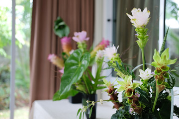 siam tulip flower arrangement in japanese ikebana