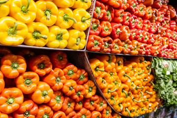Bell peppers of all colors for sale