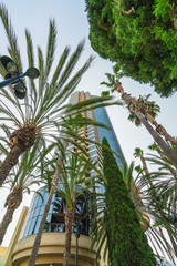 San Diego Modern Buildings  and Palm Trees. Vertical Image, Low Angle View, Clear Blue Sky Background.  Downtown San Diego, Marina District, California