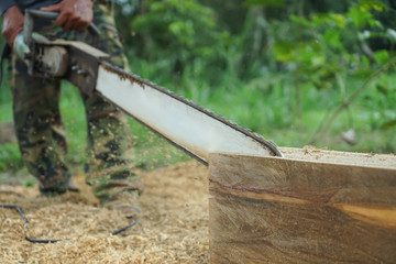 Lumberjack. woodcutter sawing chain saw in motion, sawdust fly to sides.