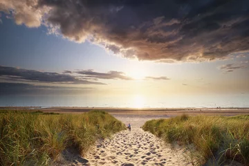 Papier Peint photo Mer du Nord, Pays-Bas gold sunset sunlight over sand path to north sea beach