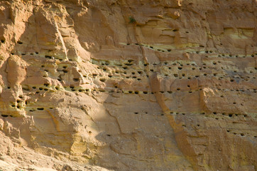 Texture of the clay-sand bluff wall.