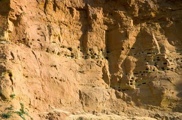 Texture of the clay-sand bluff wall.