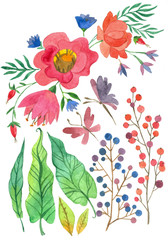 watercolor collection of flowers and leaves, red flowers and green foliage