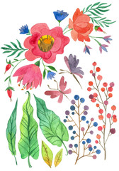 Fototapeta premium watercolor collection of flowers and leaves, red flowers and green foliage