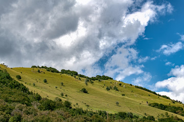 Fototapeta na wymiar Montagna con conifere e cielo nuvoloso, bellissimo sfondo