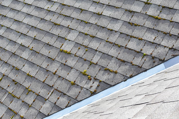 Different two parts of grey bitumen asphalt shingles roof one part overgrown with green moss other clean.
