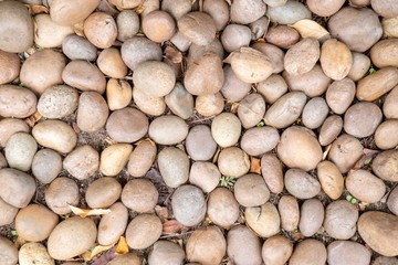 Decorative stones in the garden