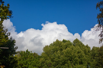 Cloud over the forest. View of the forest. Blue sky with a white cloud.