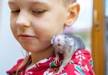 rat on the boy's shoulder. boy in Christmas pajamas