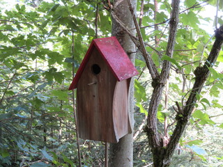 Vogelhaus