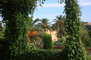 tonnelle et palmiers