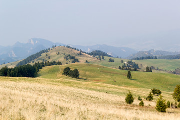 Mountain "Wysoki Wierch" in Little Pieniny, Poland