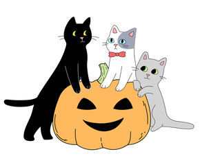  Three cats and a pumpkin. Halloween theme