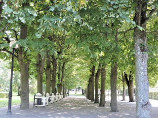 alley in the park, Tallinn