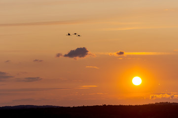 A beautiful sunrise with a golden sunshine on a late summer evening. Concept: landscape or sunset
