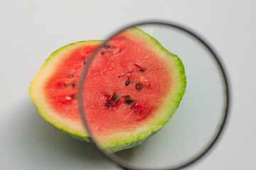 study of a magnifying glass of watermelon