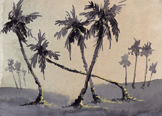 coconut trees watercolor hand painted illustration